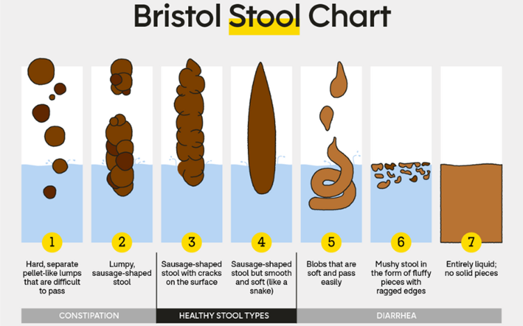 Bristol Stool Chart